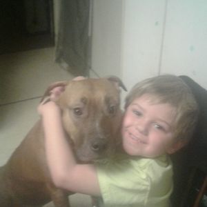 Meet your Posher, Pammy